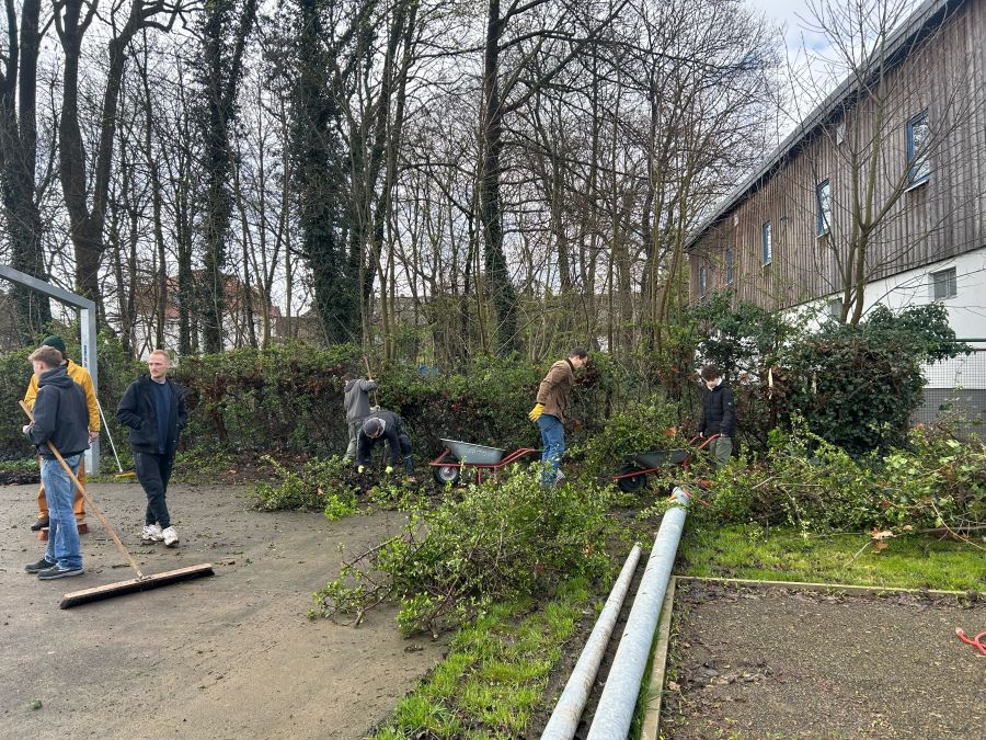 auch die Hecke hatte es dringend nötig